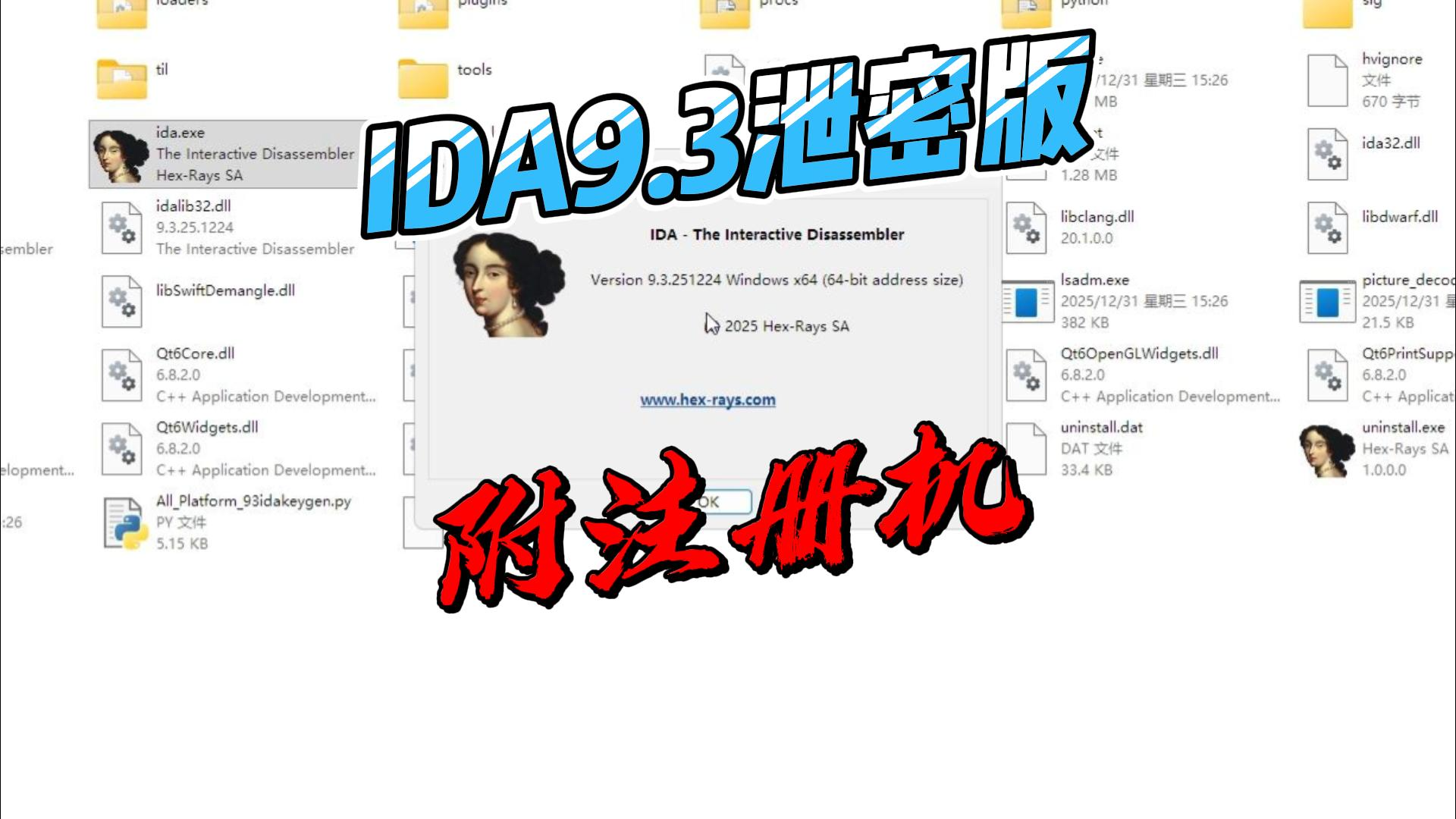 【全平台】IDA Pro 9.3破解版+汉化补丁